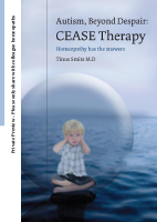 autism beyond despair extract.pdf